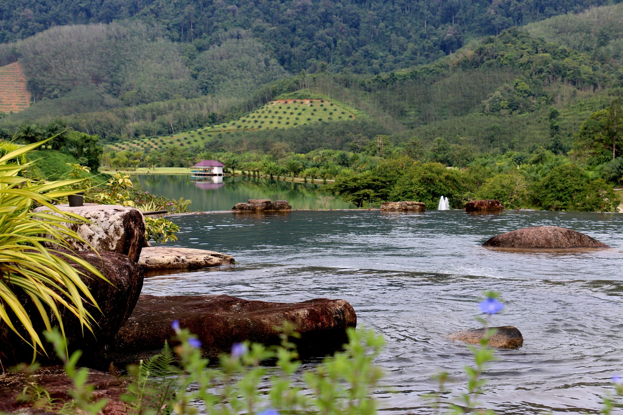 Фото Katathong Golf Resort & SPA