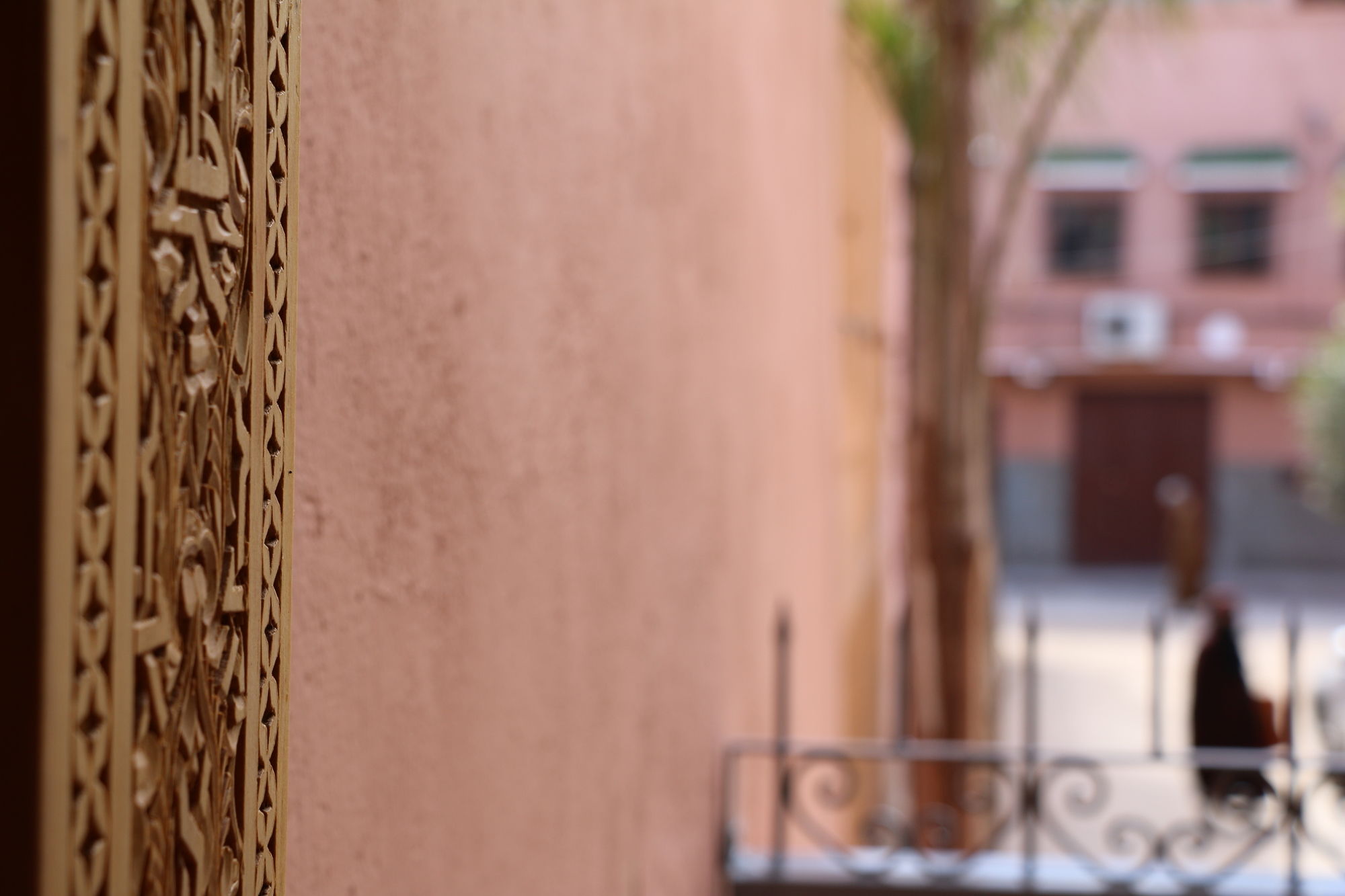 Фото 245169383787