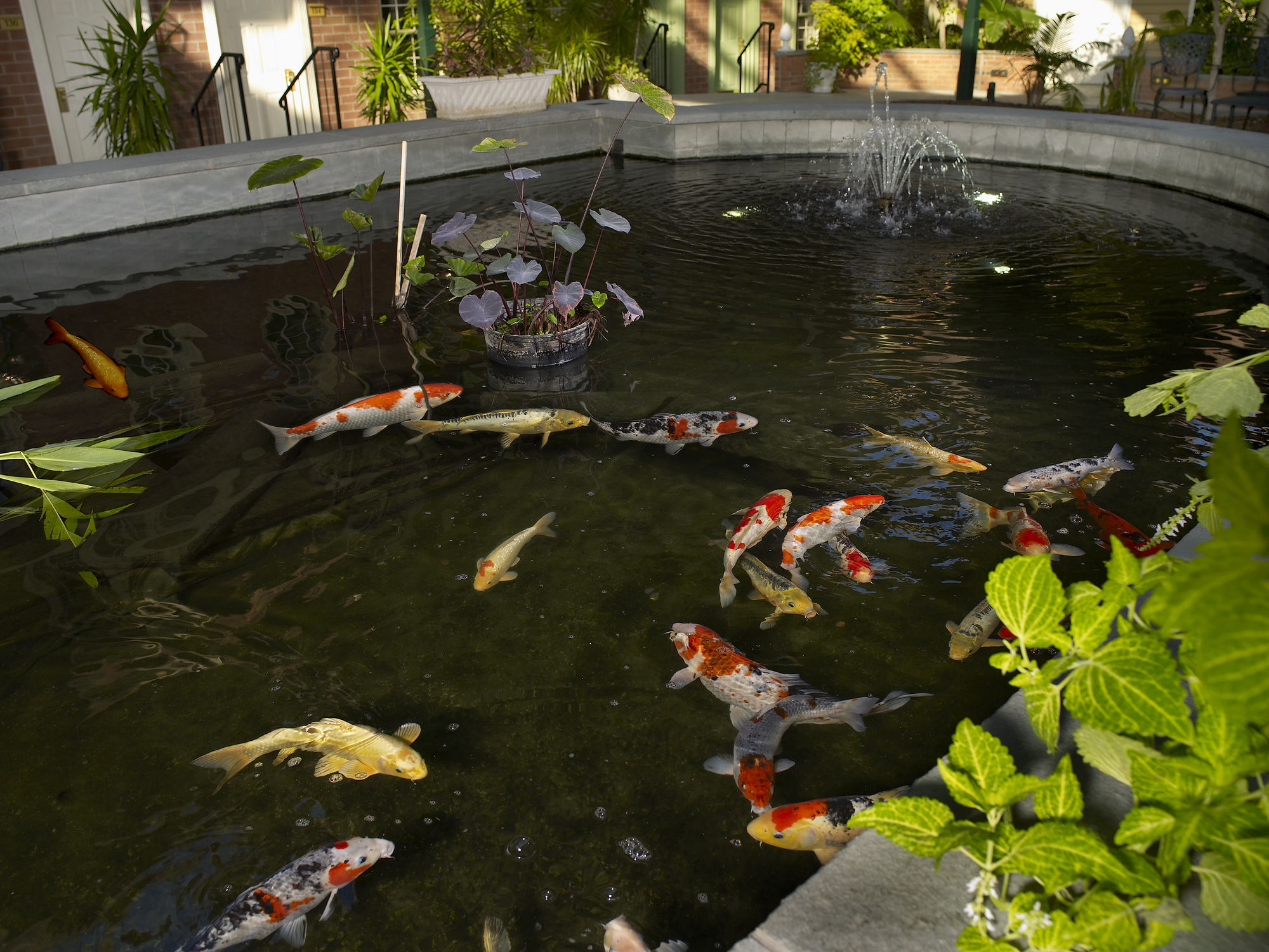 Фото 115216970563