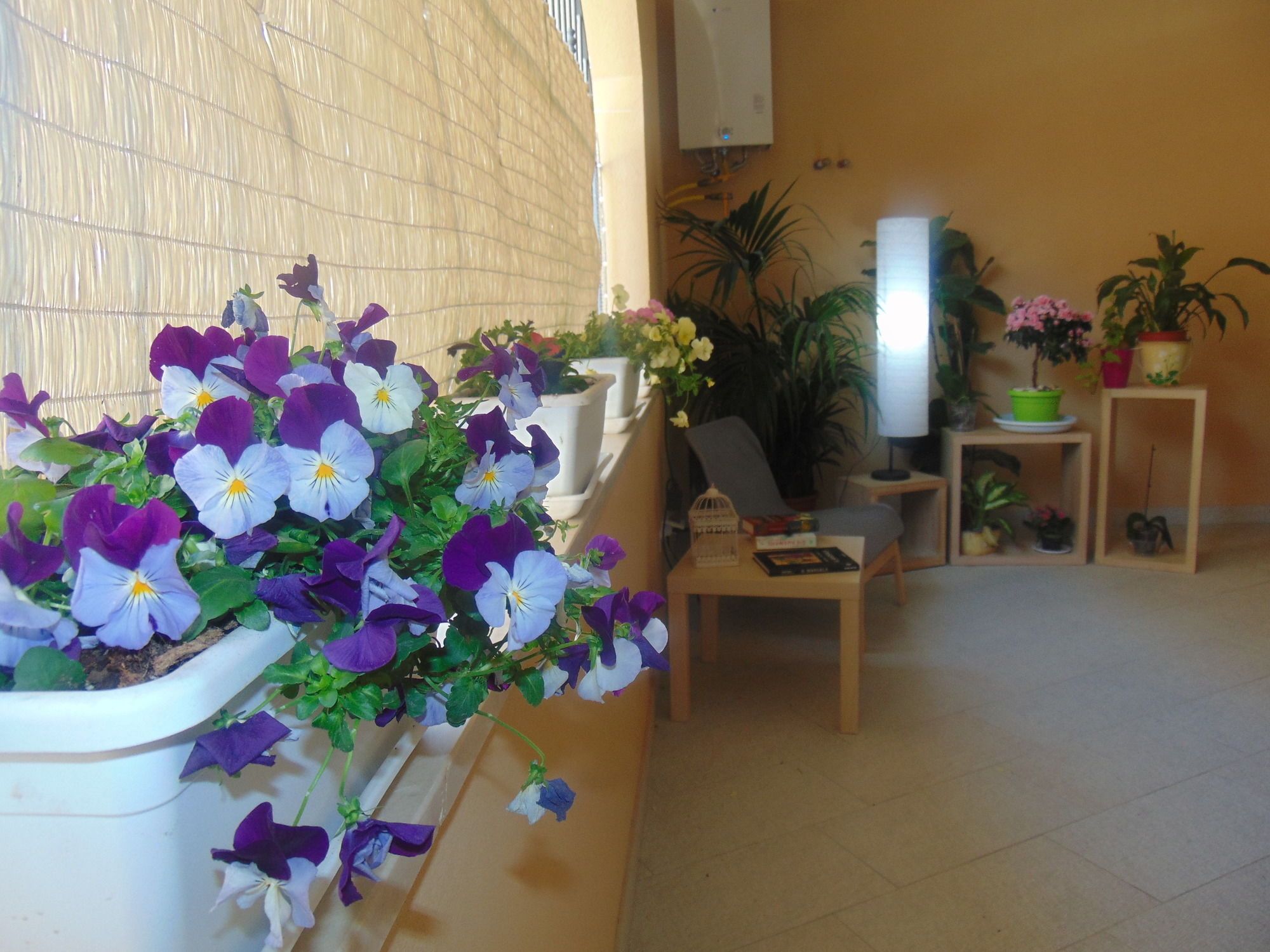 Фото Residence Le Isole