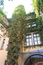 Фото Hotel Mailberger Hof