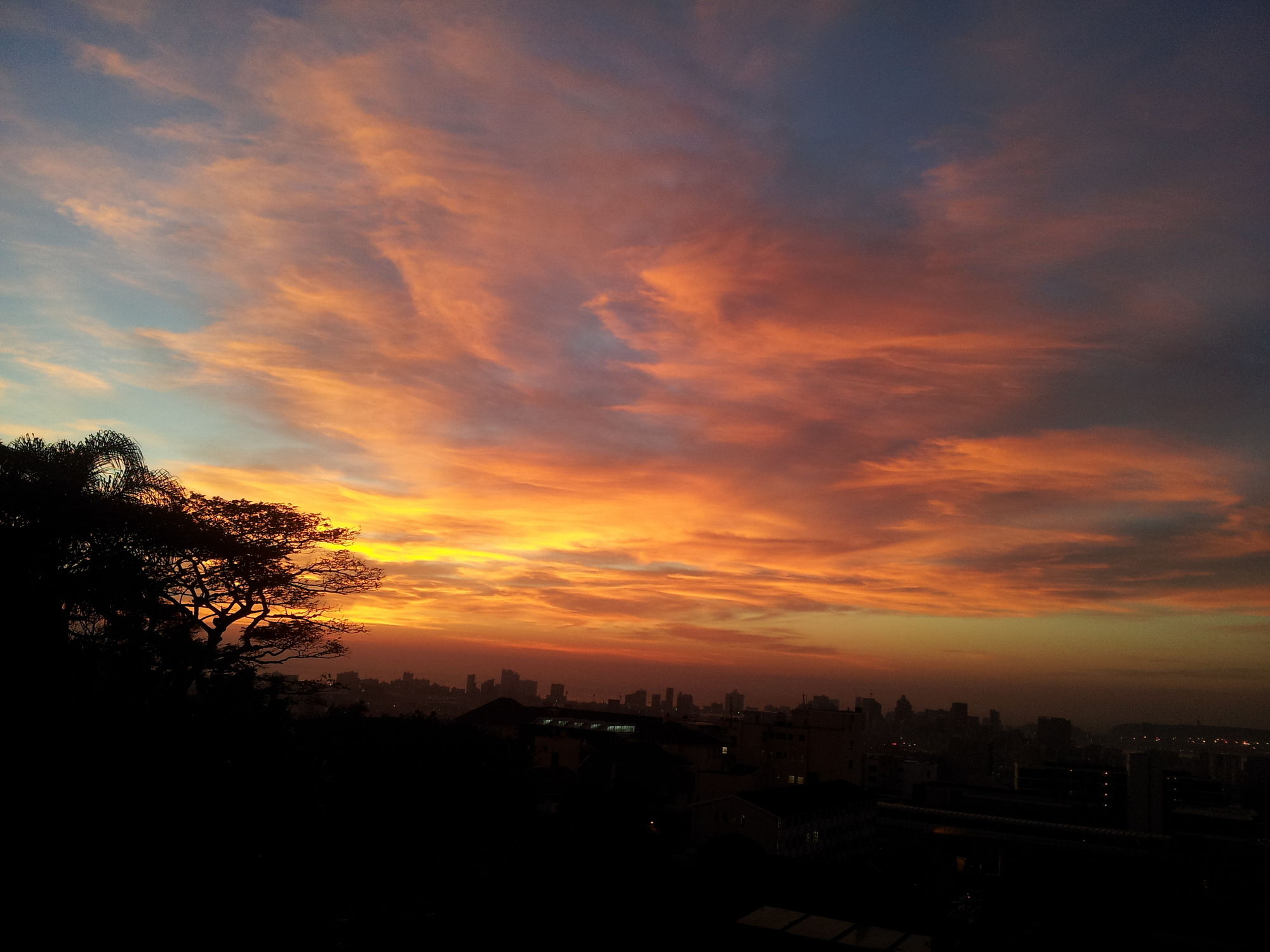 Фото Ridgeview Lodge