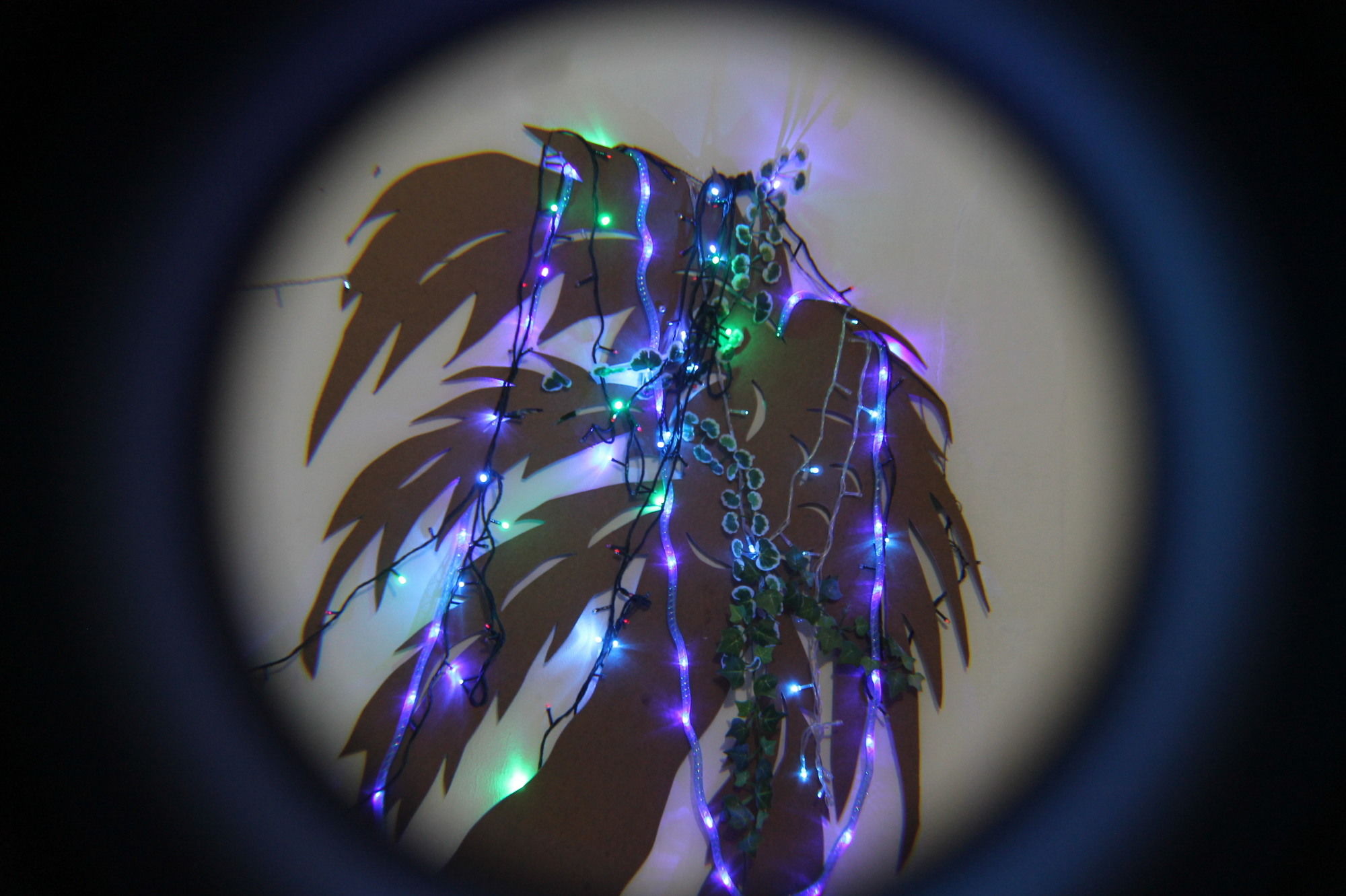 Фото Bachelor Inn Hotel