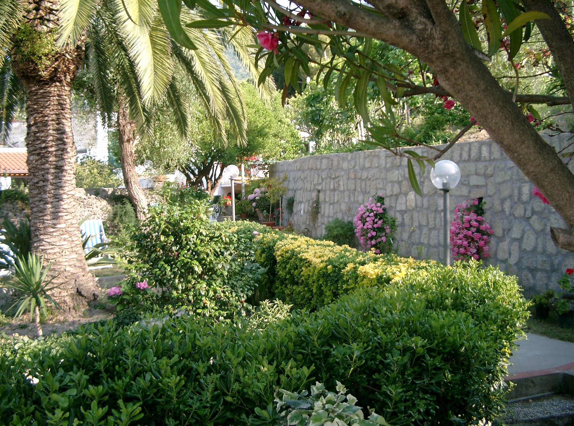 Фото Hotel Matarese