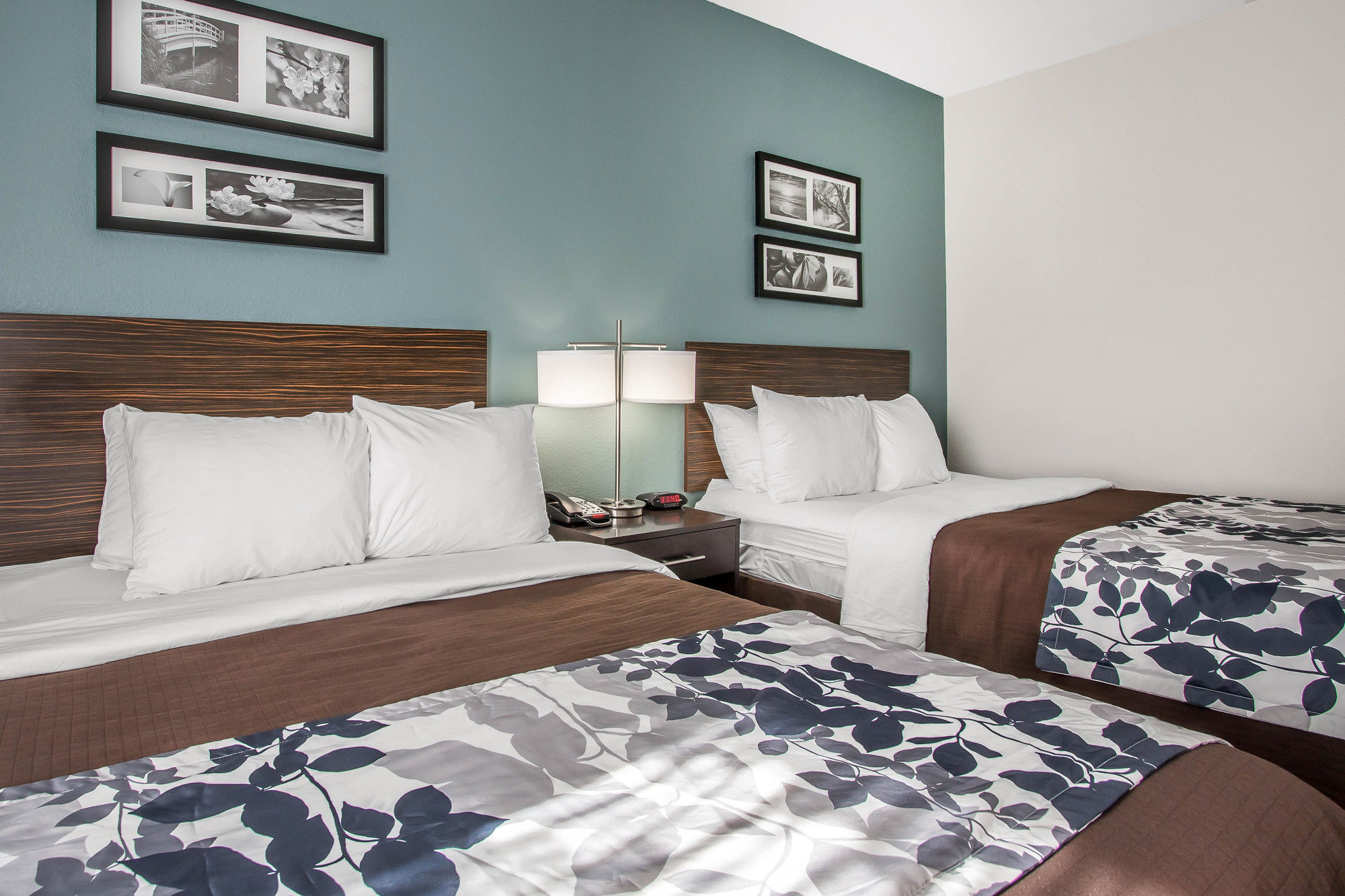 Фото Sleep Inn & Suites