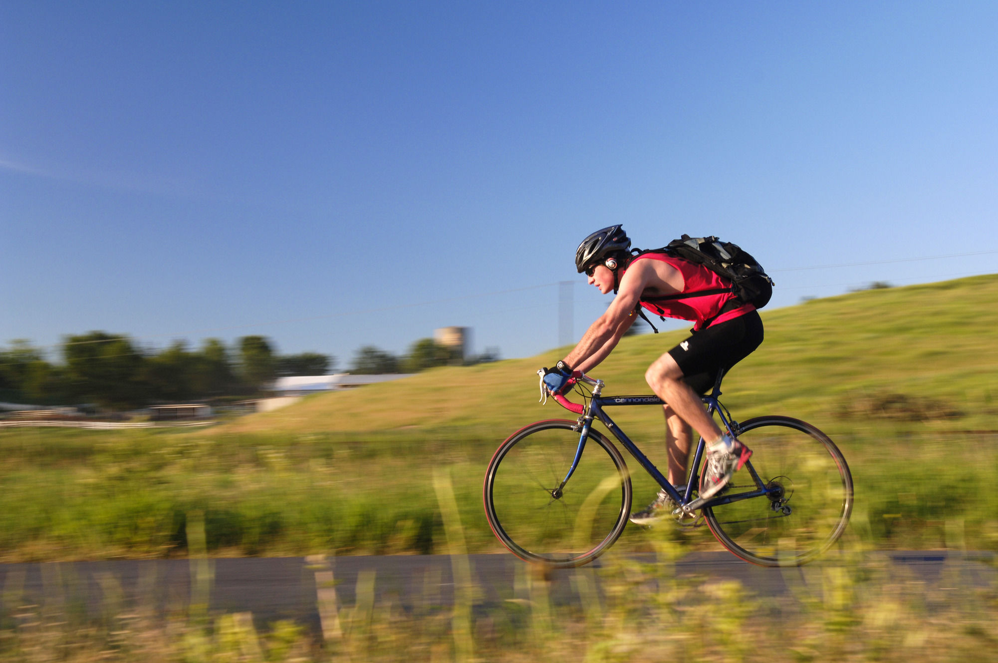 Фото Best Western Plus University Inn