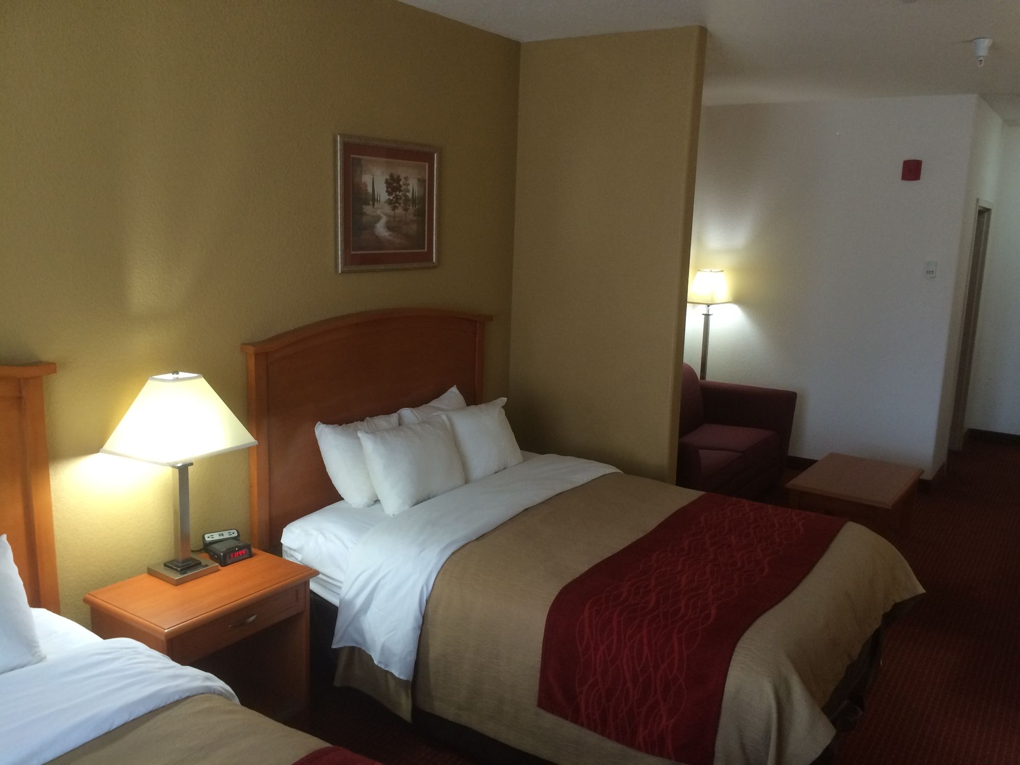 Фото Comfort Inn & Suites Chesapeake - Portsmouth