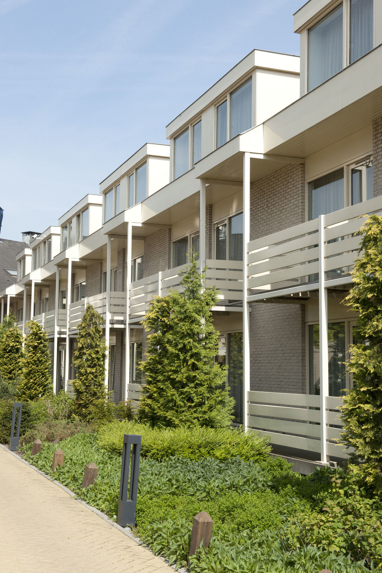 Фото Carlton President