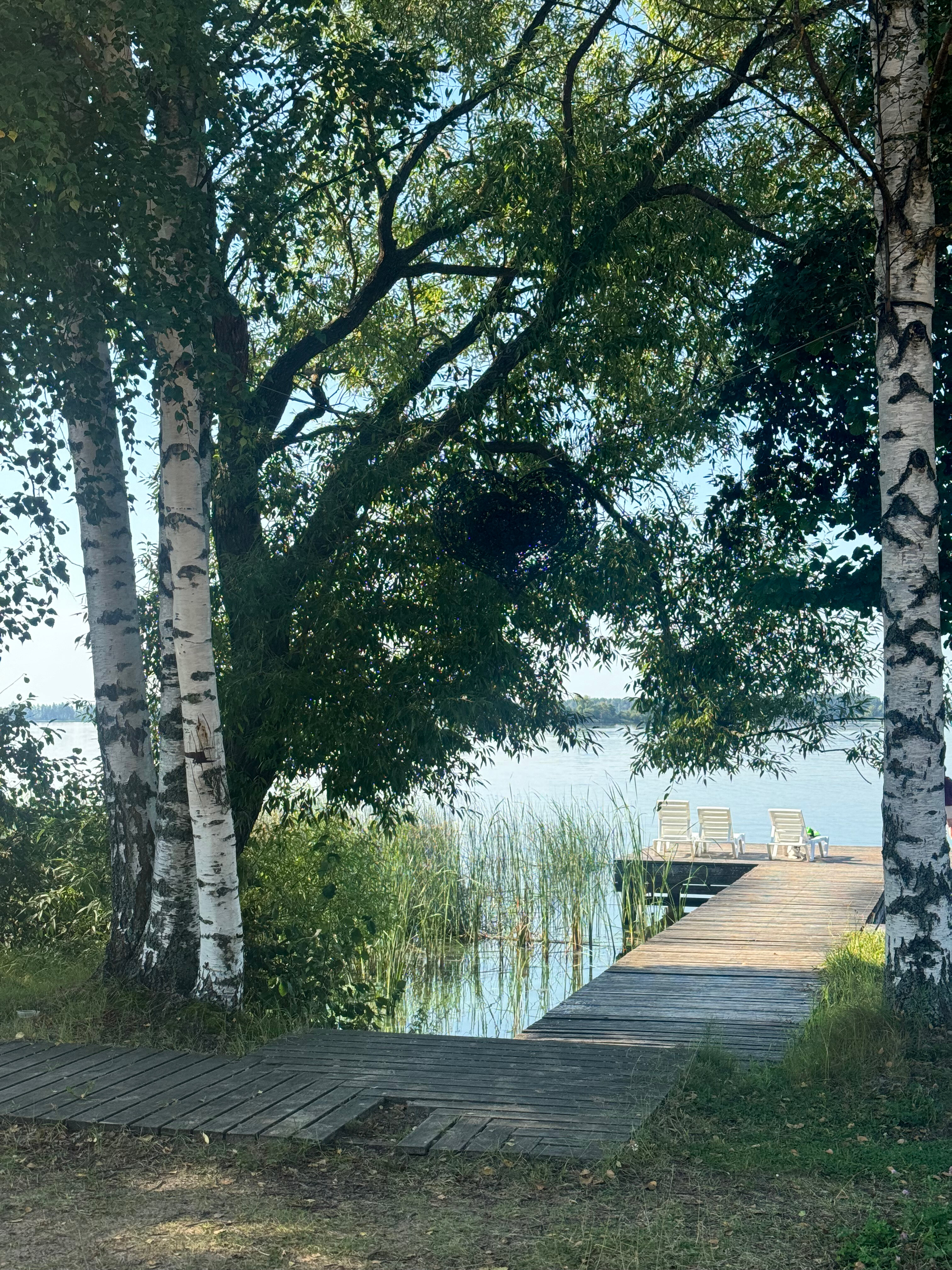 Фото Веточка