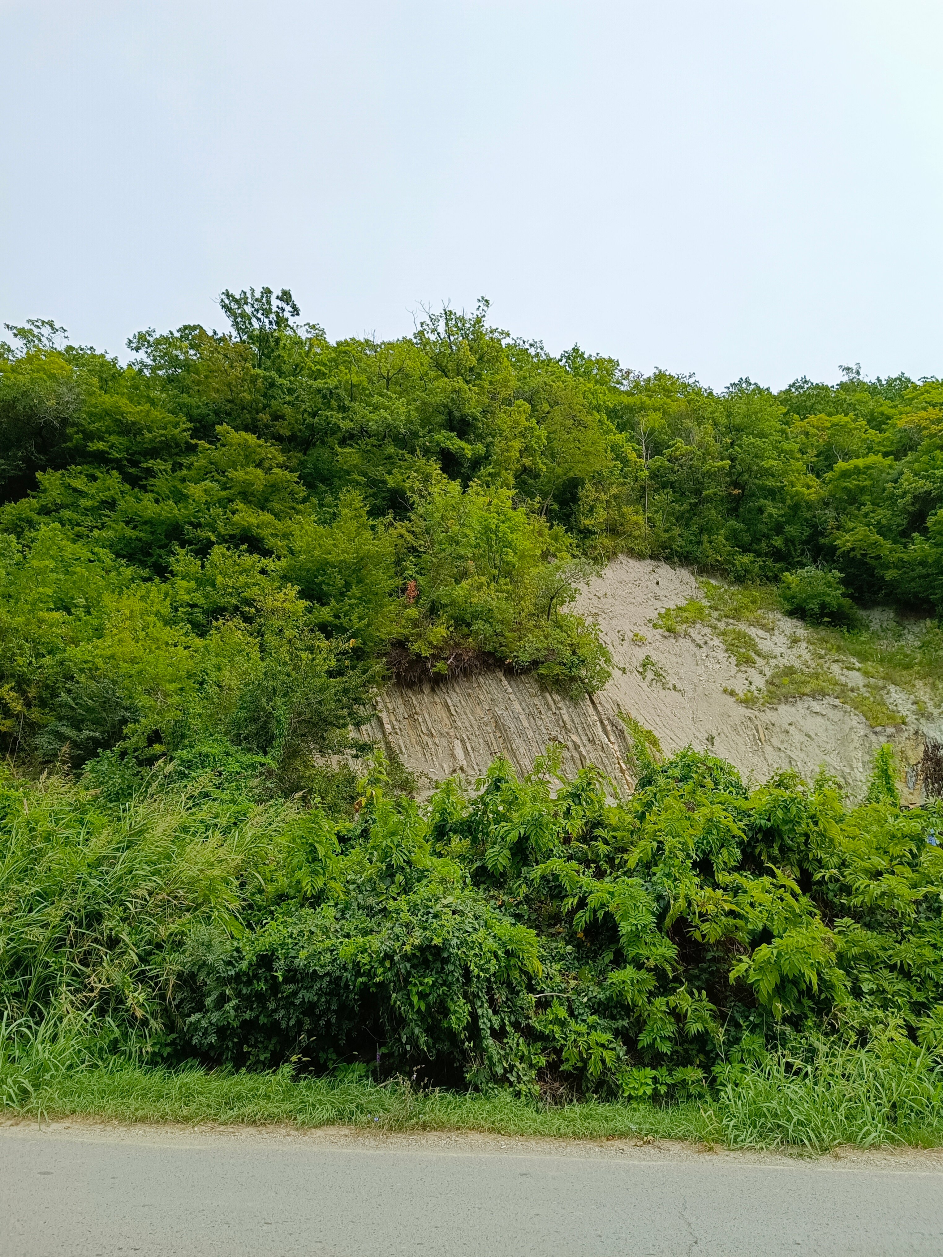 Фото Людмила