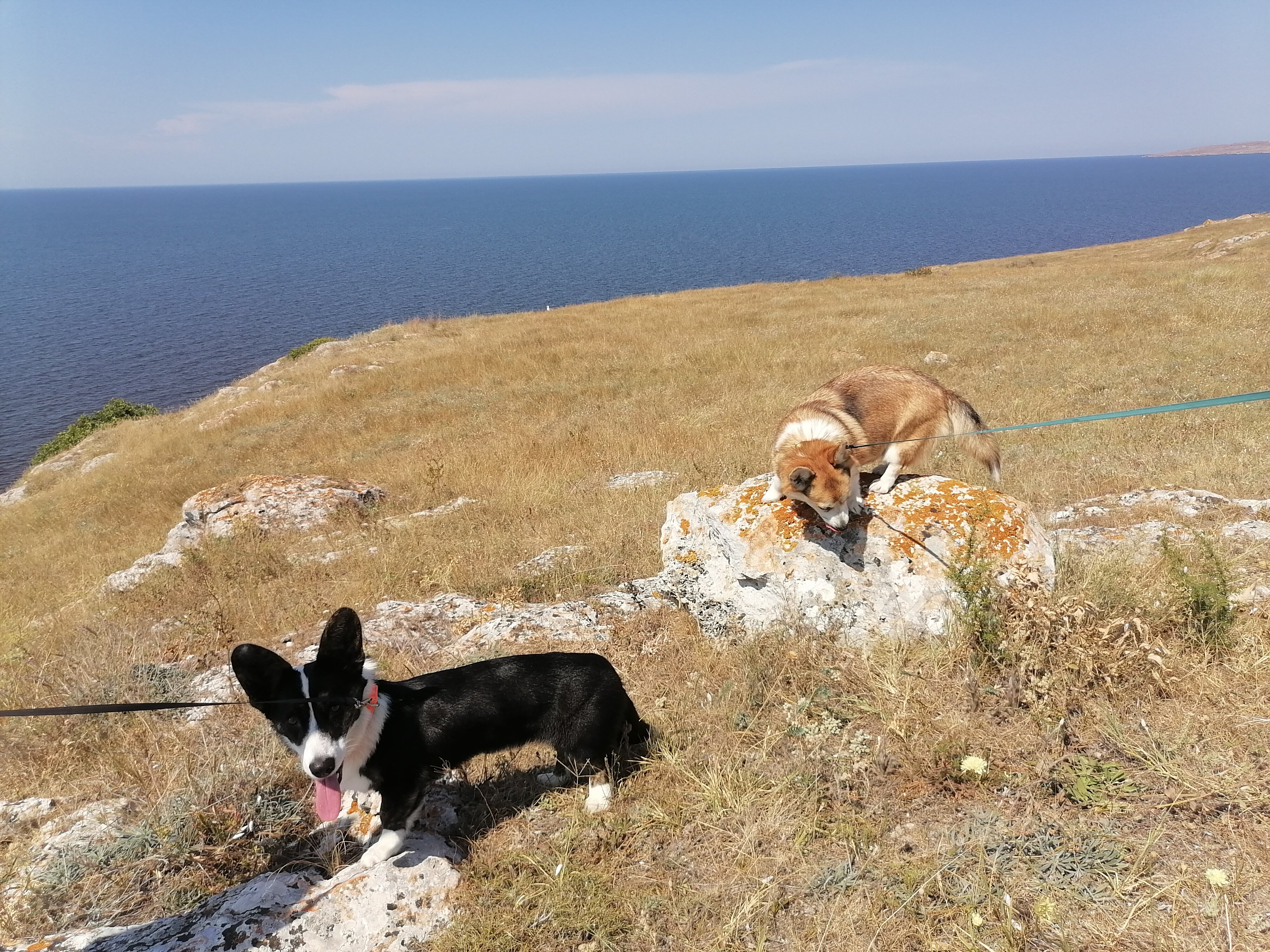 Фото Клуб любителей моря