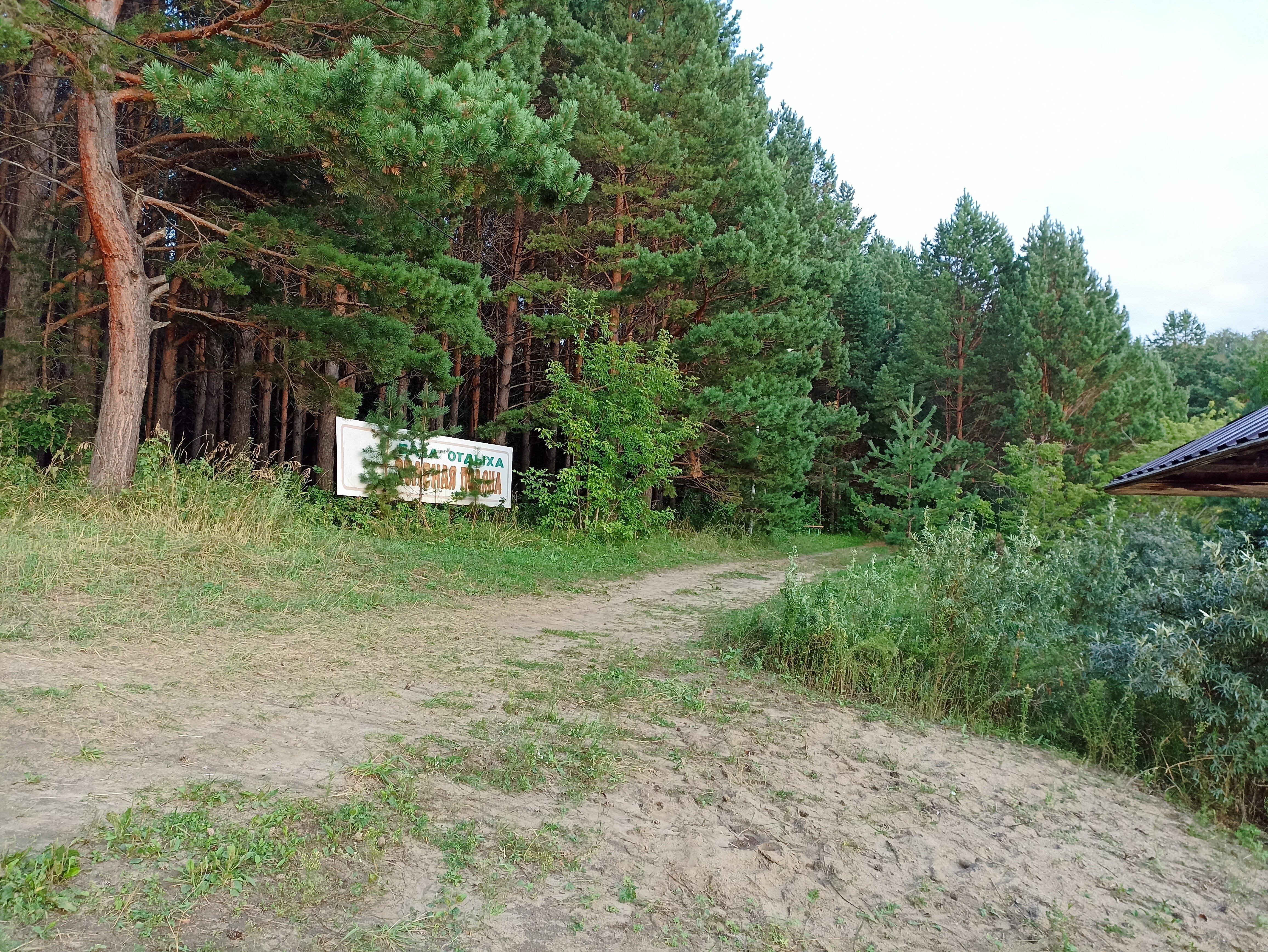 Фото Зелёная поляна