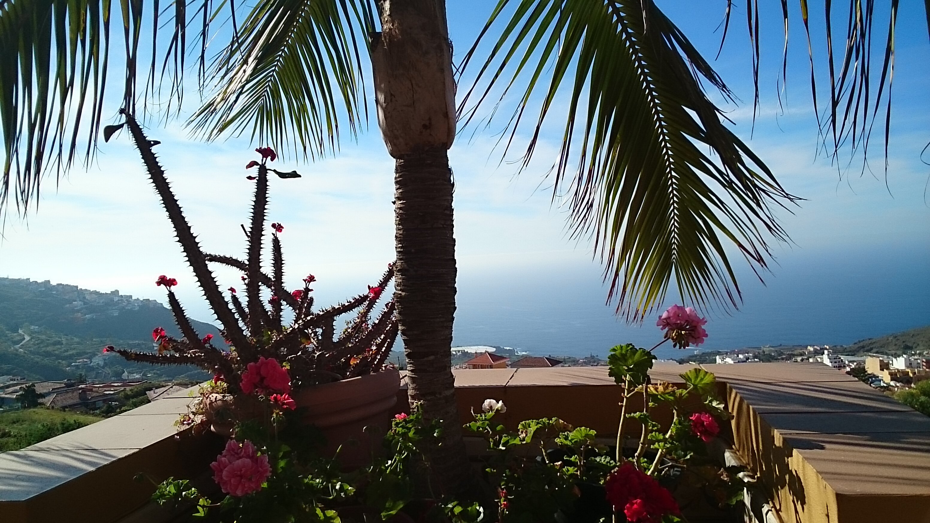 Фото Vv Apartamentos Estrella del Norte