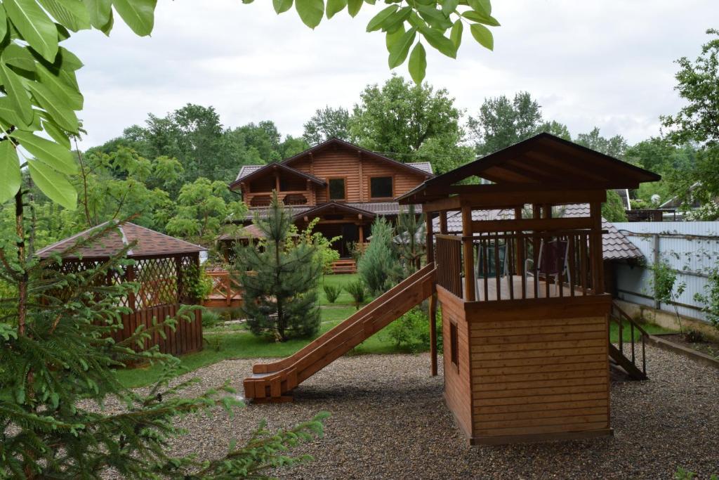 Фото Рябиновые бусы