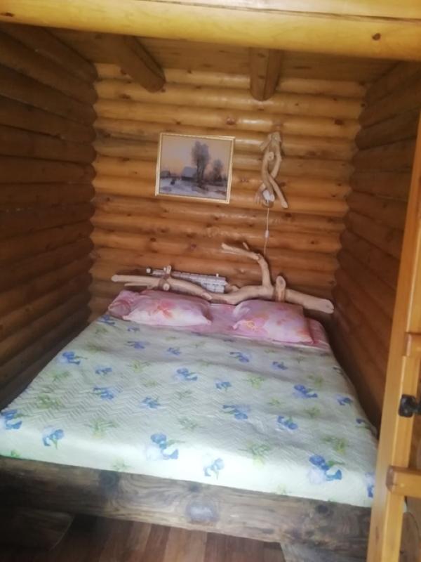 Фото Лесная сказка