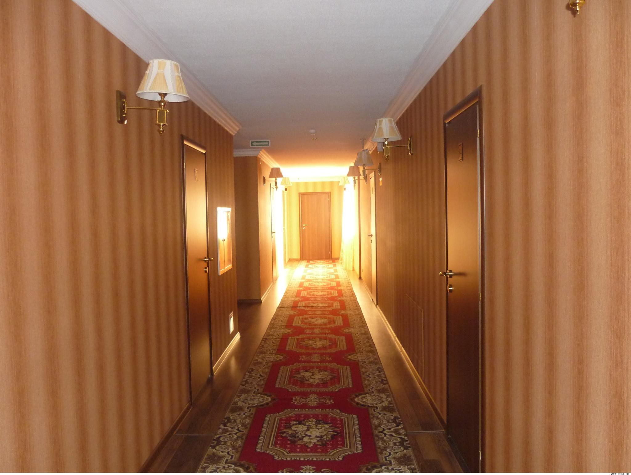 Фото Азалия