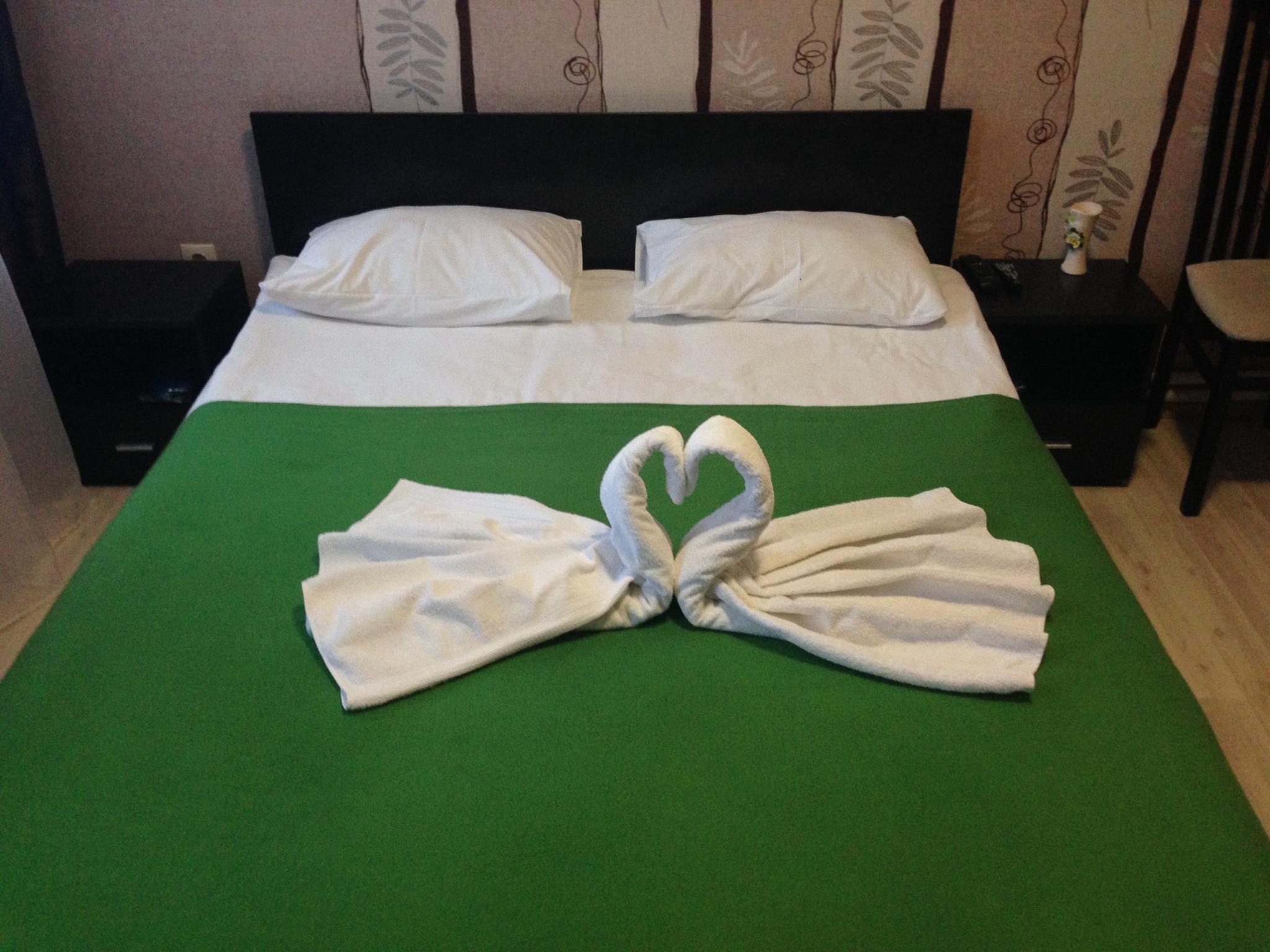 Фото Базилик