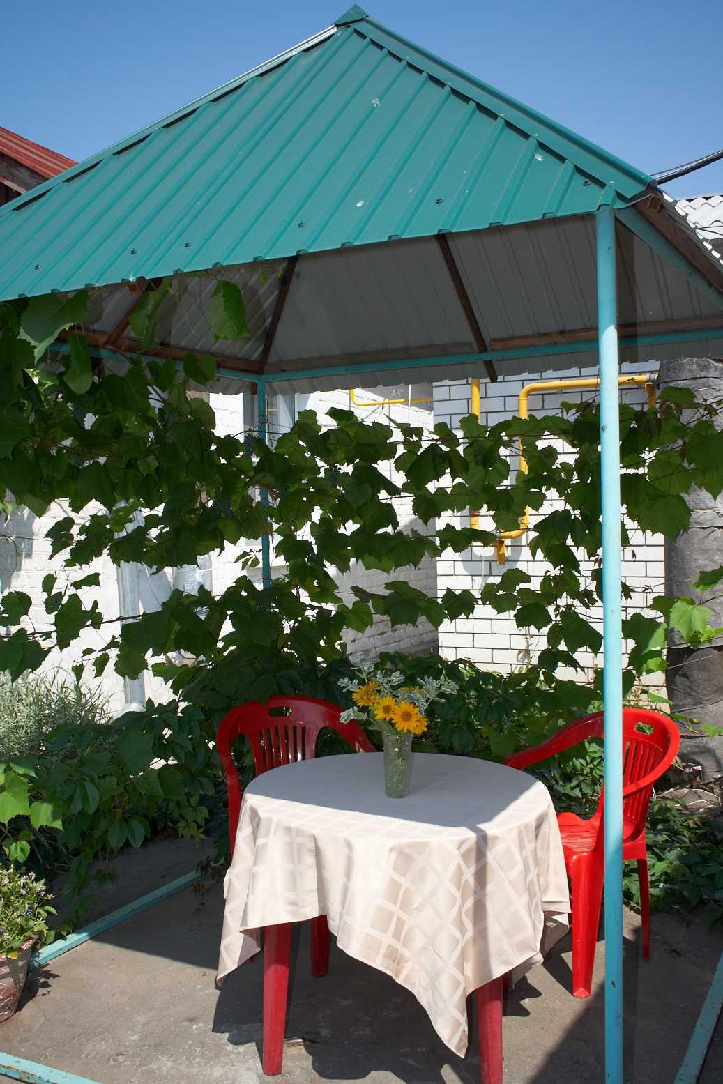 Фото Наташа