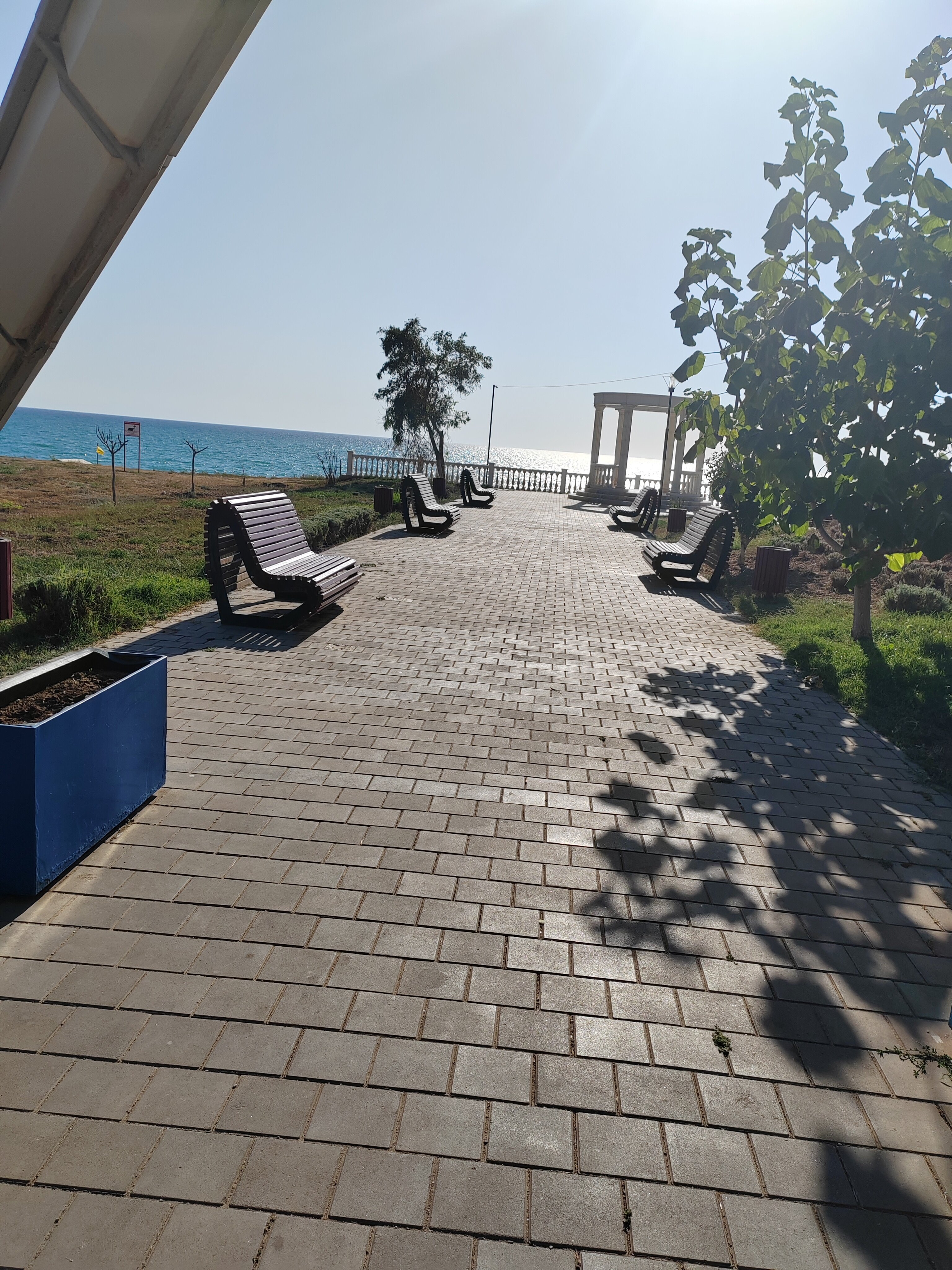 Фото Савита