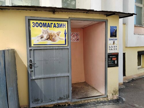 Кемпірлерге тыңшылық