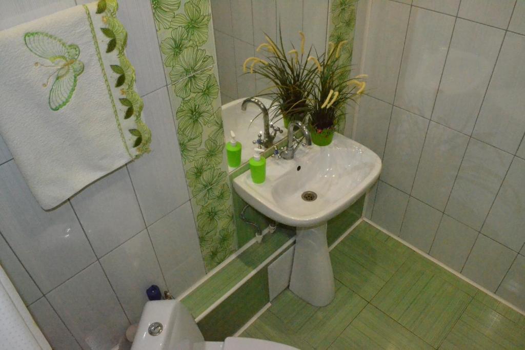 Фото Солнечная