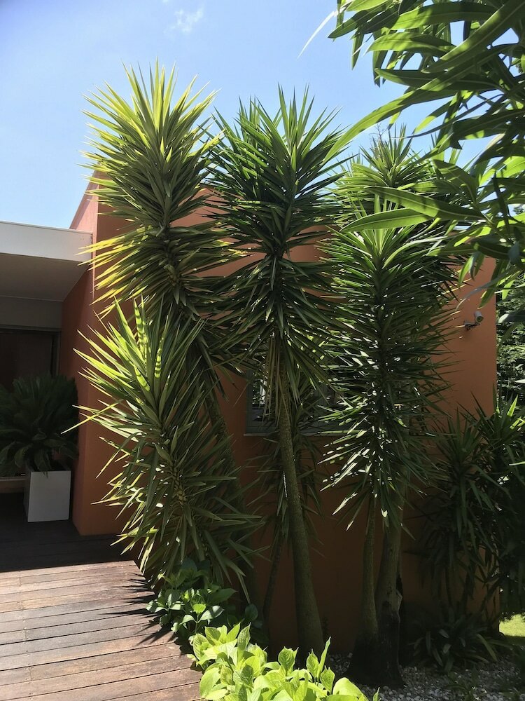 Фото Villa Orange Charm Guesthouse