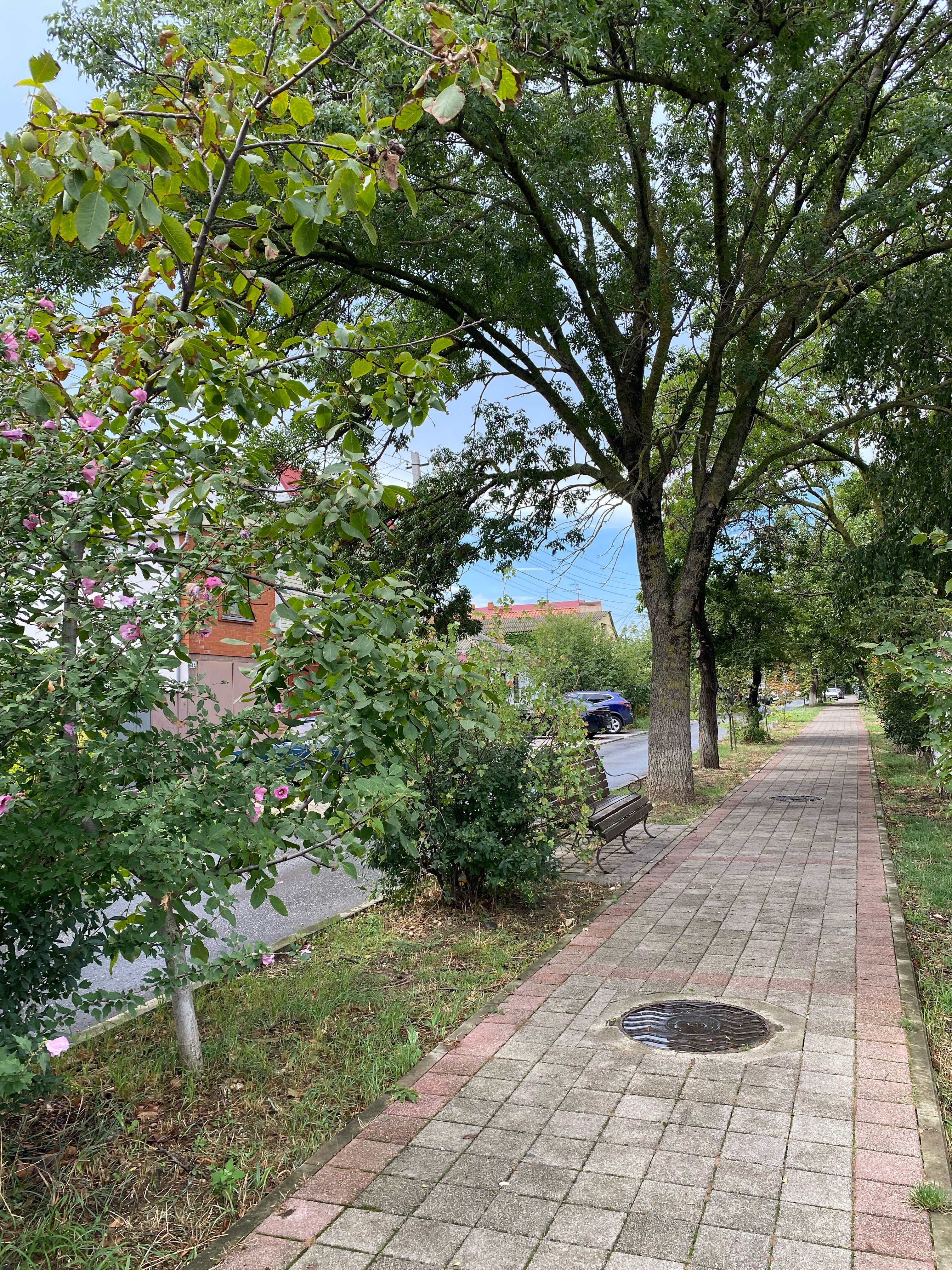 Фото Ангелина