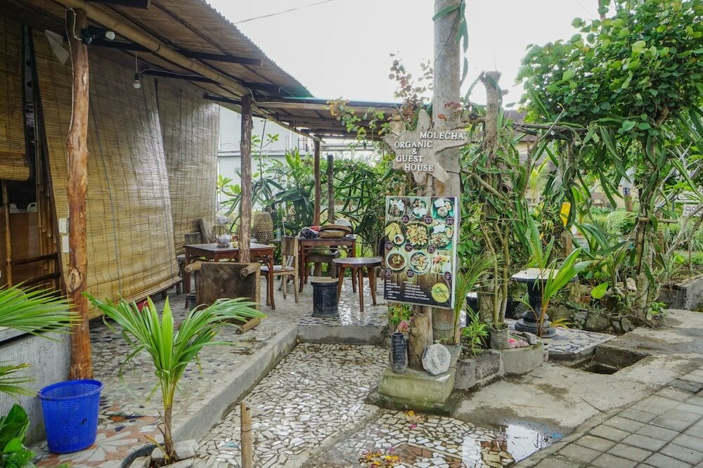 Фото Molecha Guest House