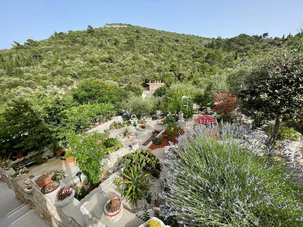 Фото Apartments Leviana