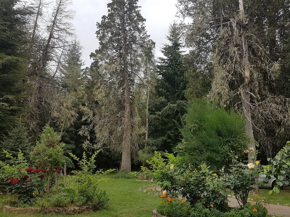 Фото Cabañas Las Maras