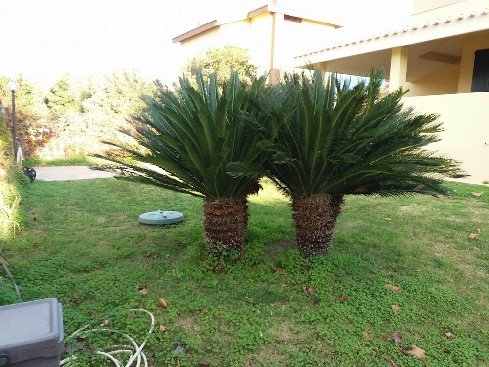 Фото Villa Marilena