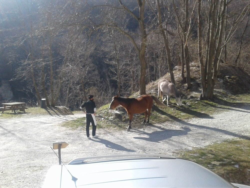 Фото Rifugio Escursionistico Cascina Porro