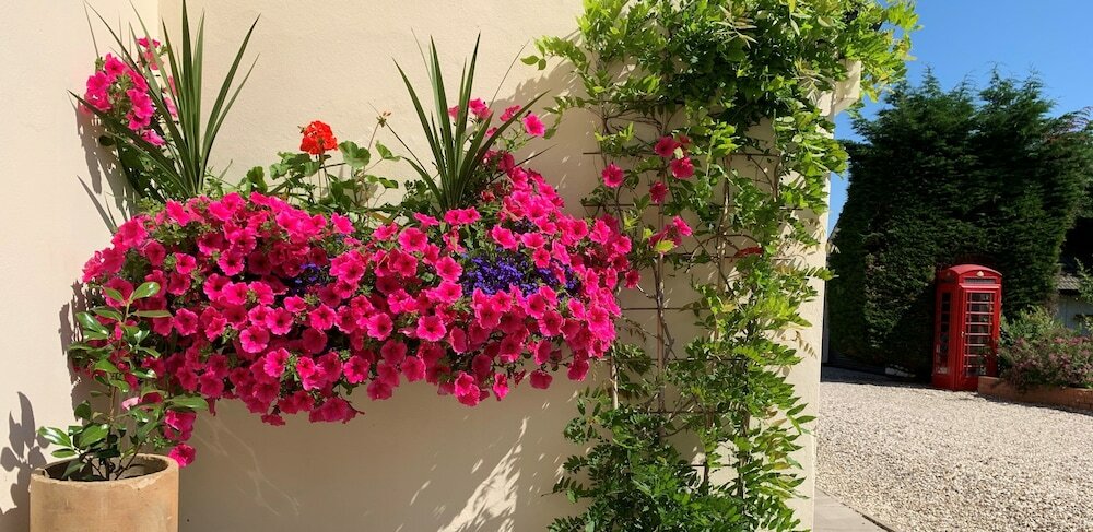 Фото Hope Orchard Bed & Breakfast