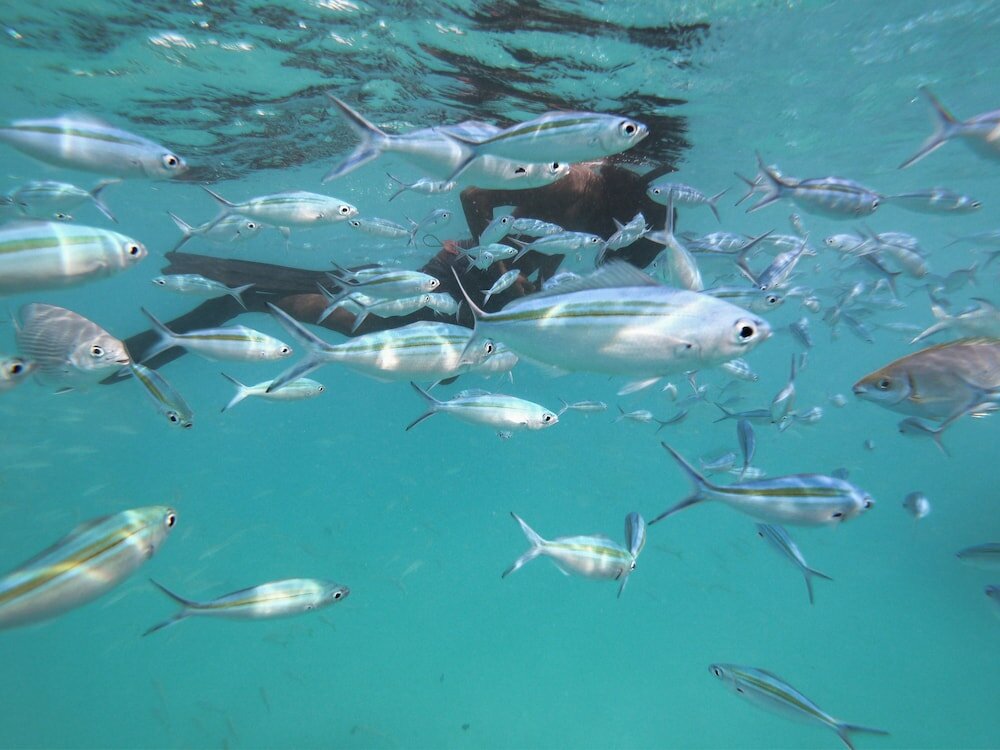 Фото Rasdhoo Apartment Lodge