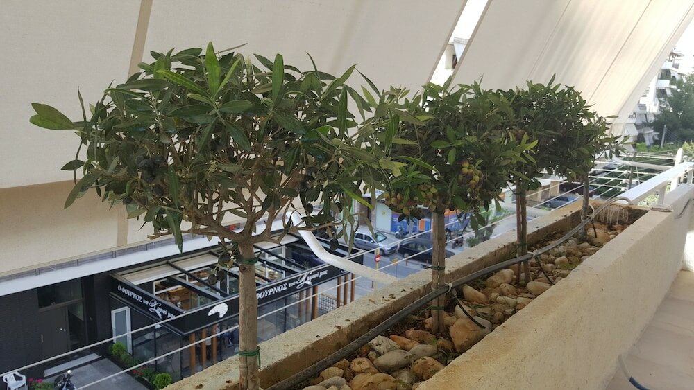 Фото Captain's Luxury Suite