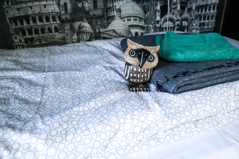 Фото Сова Хостел