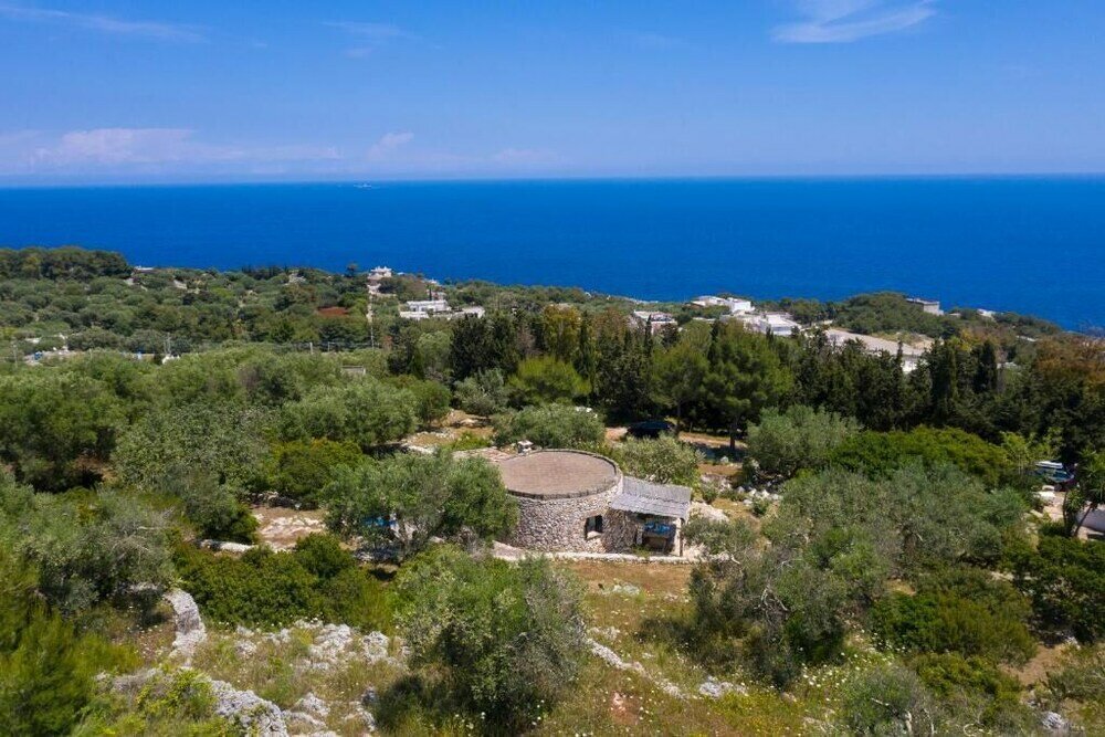 Фото Pajara Rugiada