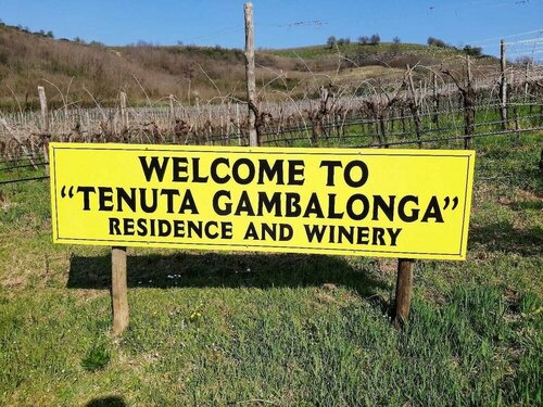 Гостиница Residence Tenuta Gambalonga