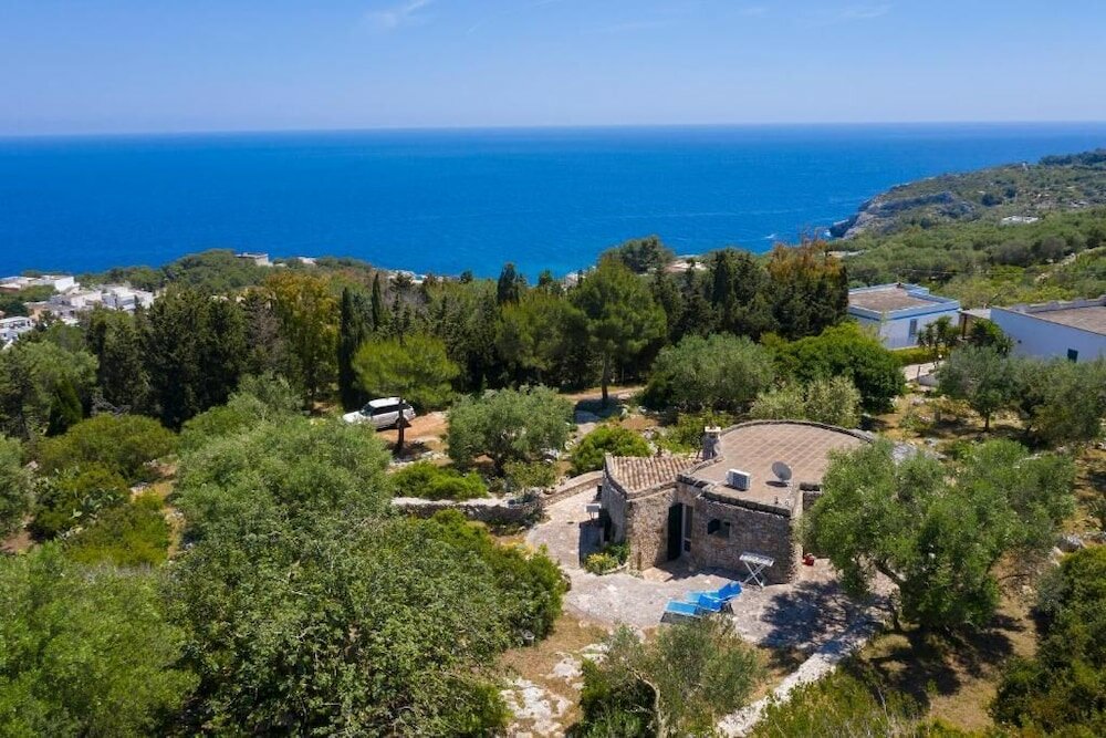 Фото Pajara Rugiada