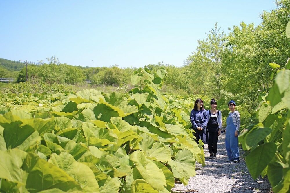 Фото Kushiro Guesthouse Cook A Doodle Doo - Hostel