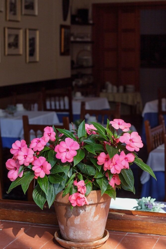 Фото Hotel Montecristo