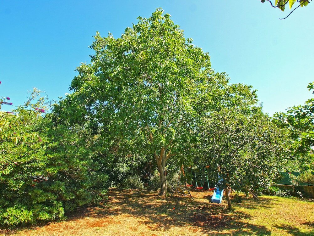 Фото Apartment 1410