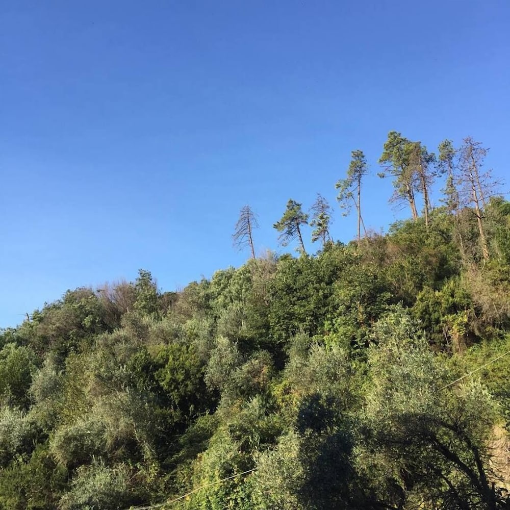 Фото Il Capriolo Bed&Breakfast