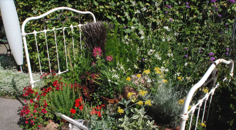 Фото Hotel Schwarzwälder Hof