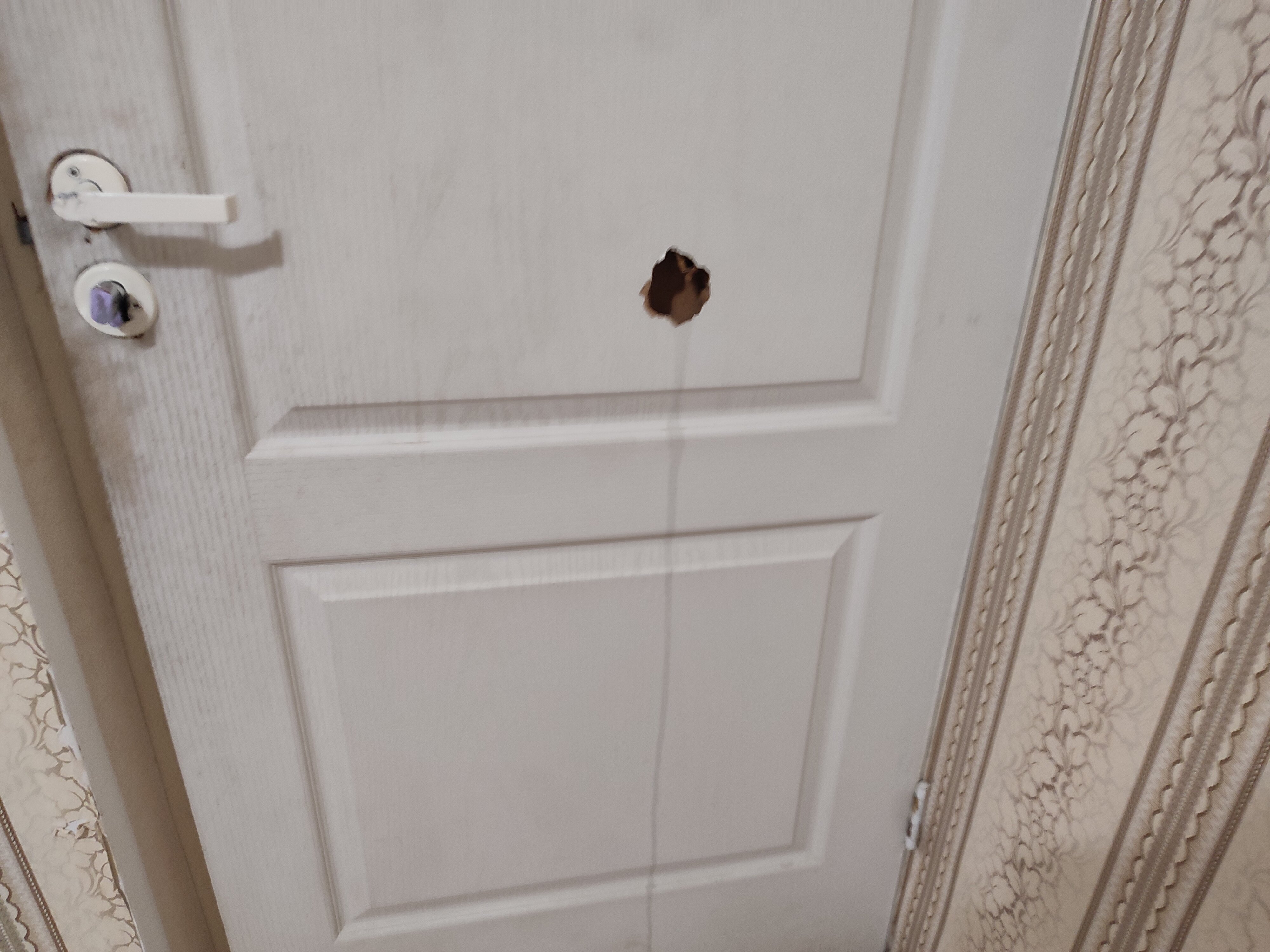 Фото Солнечный