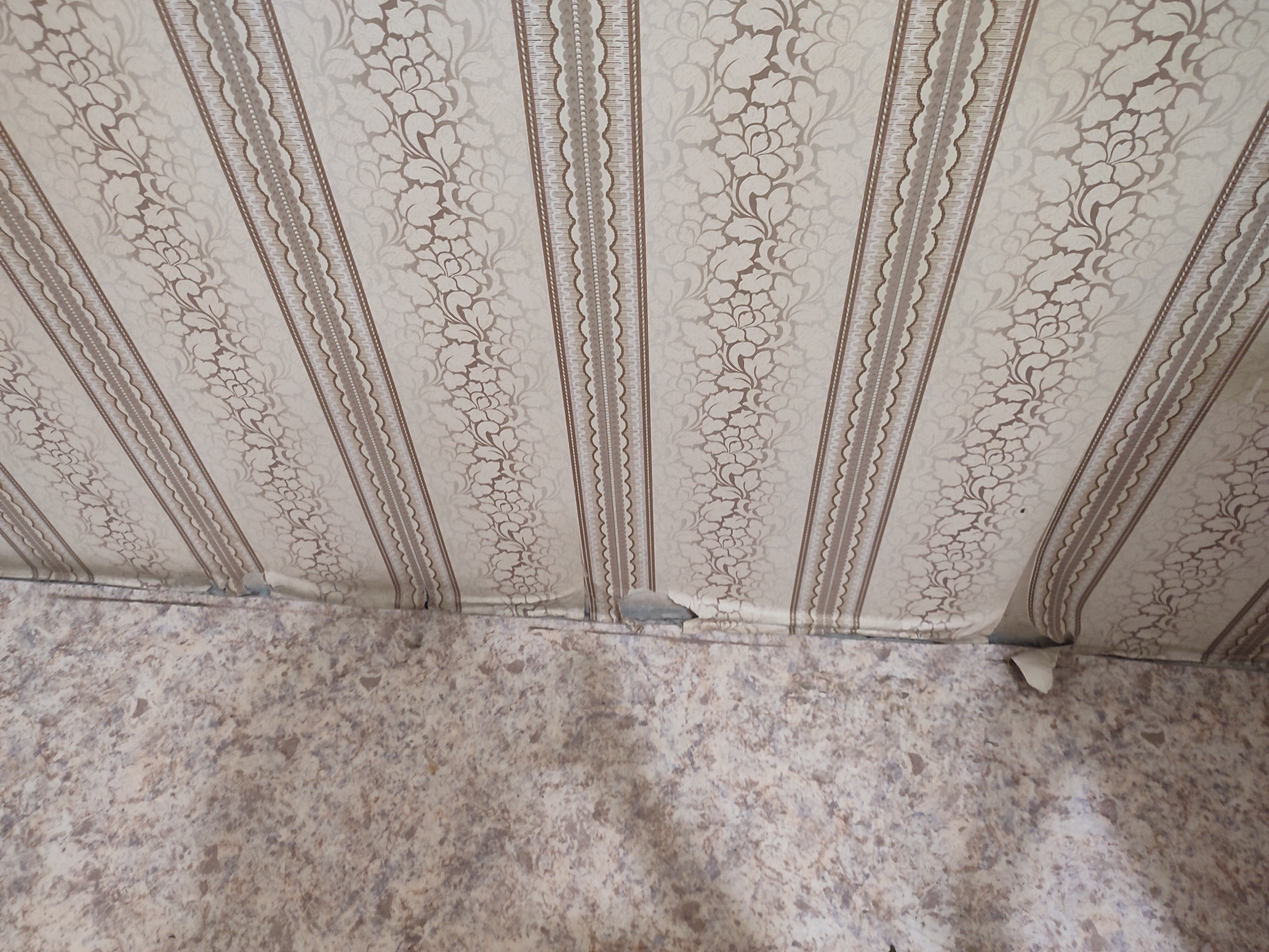 Фото Солнечный