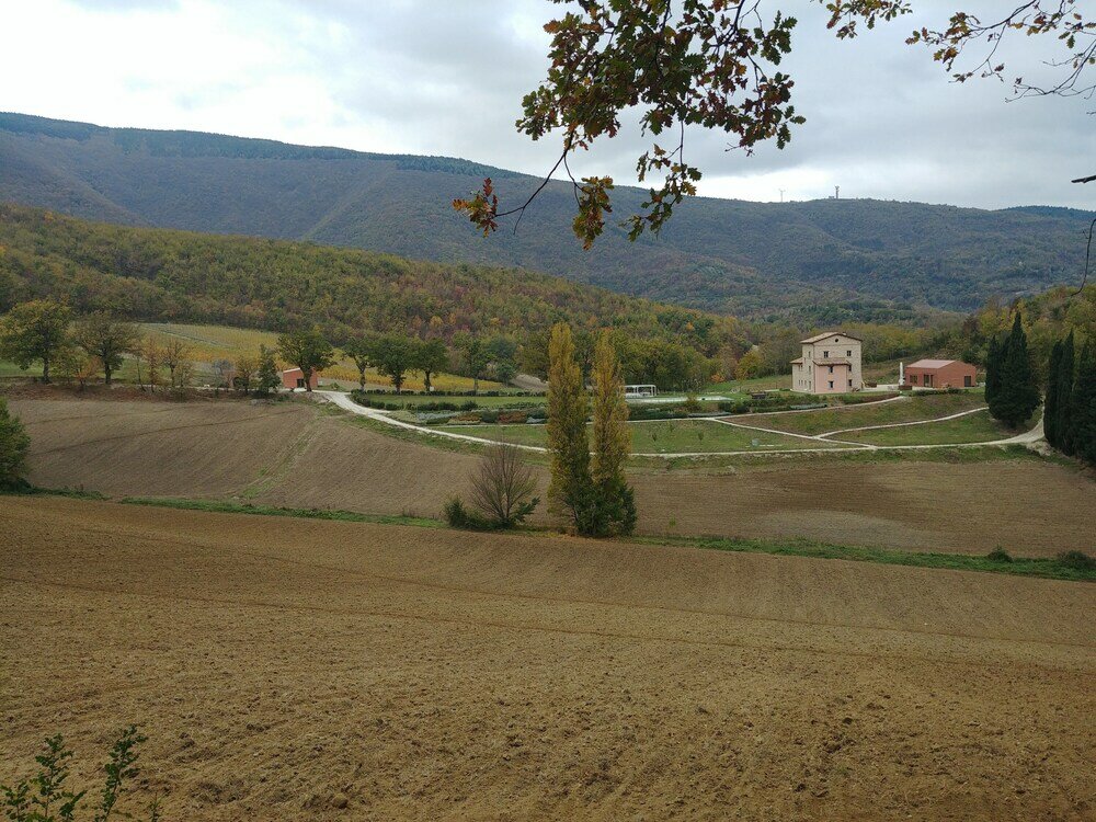 Фото Agriturismo Colle Casini Cortesi