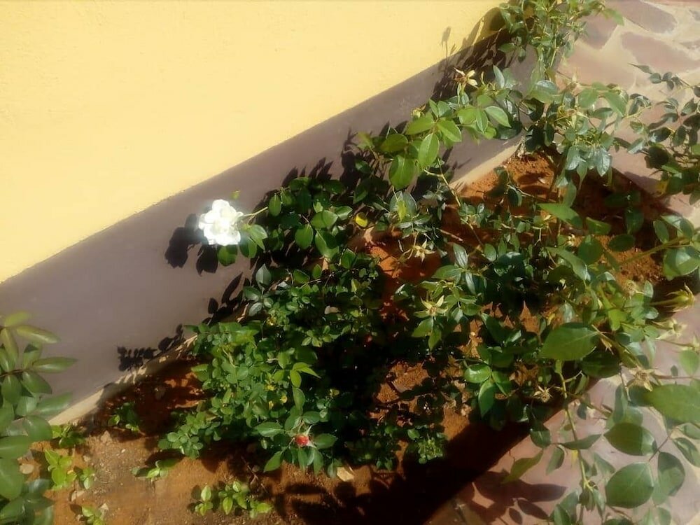 Фото Best Inn Hotel