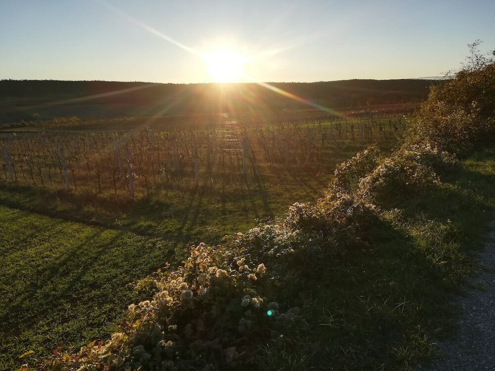 Фото Tennis & Golf Hotel Höllrigl