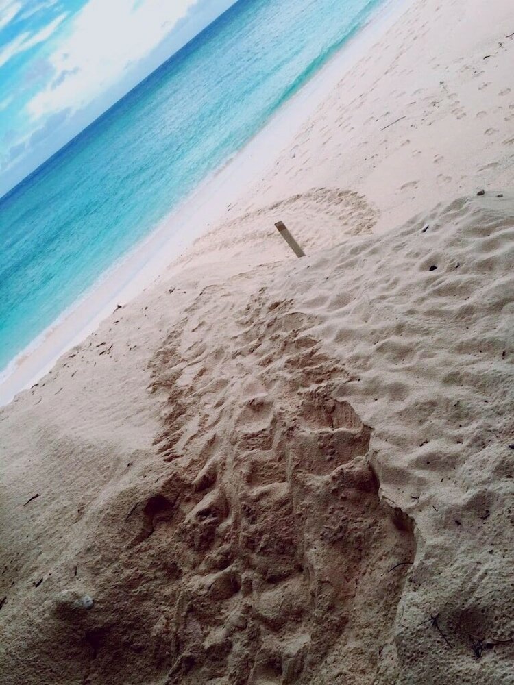 Фото Thalassa Beach and Pool Villa